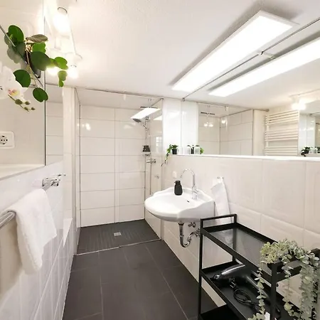 Apartment 110 M2, Dachterrasse, Kueche, Zentral, Ruhige Lage